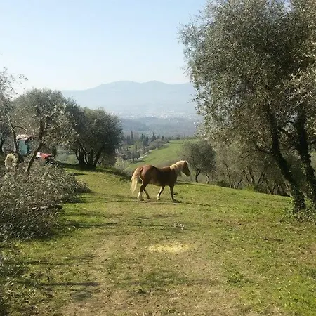 Fattoria di Fubbiano-2